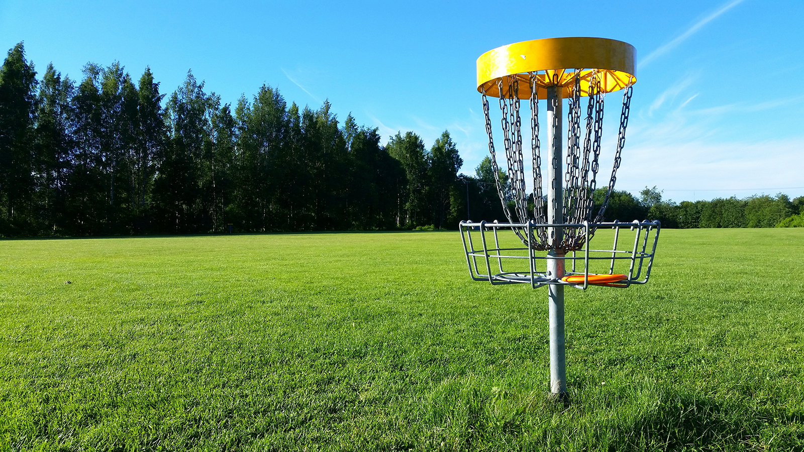 Shakopee Lions Annual Disc Golf Tournament