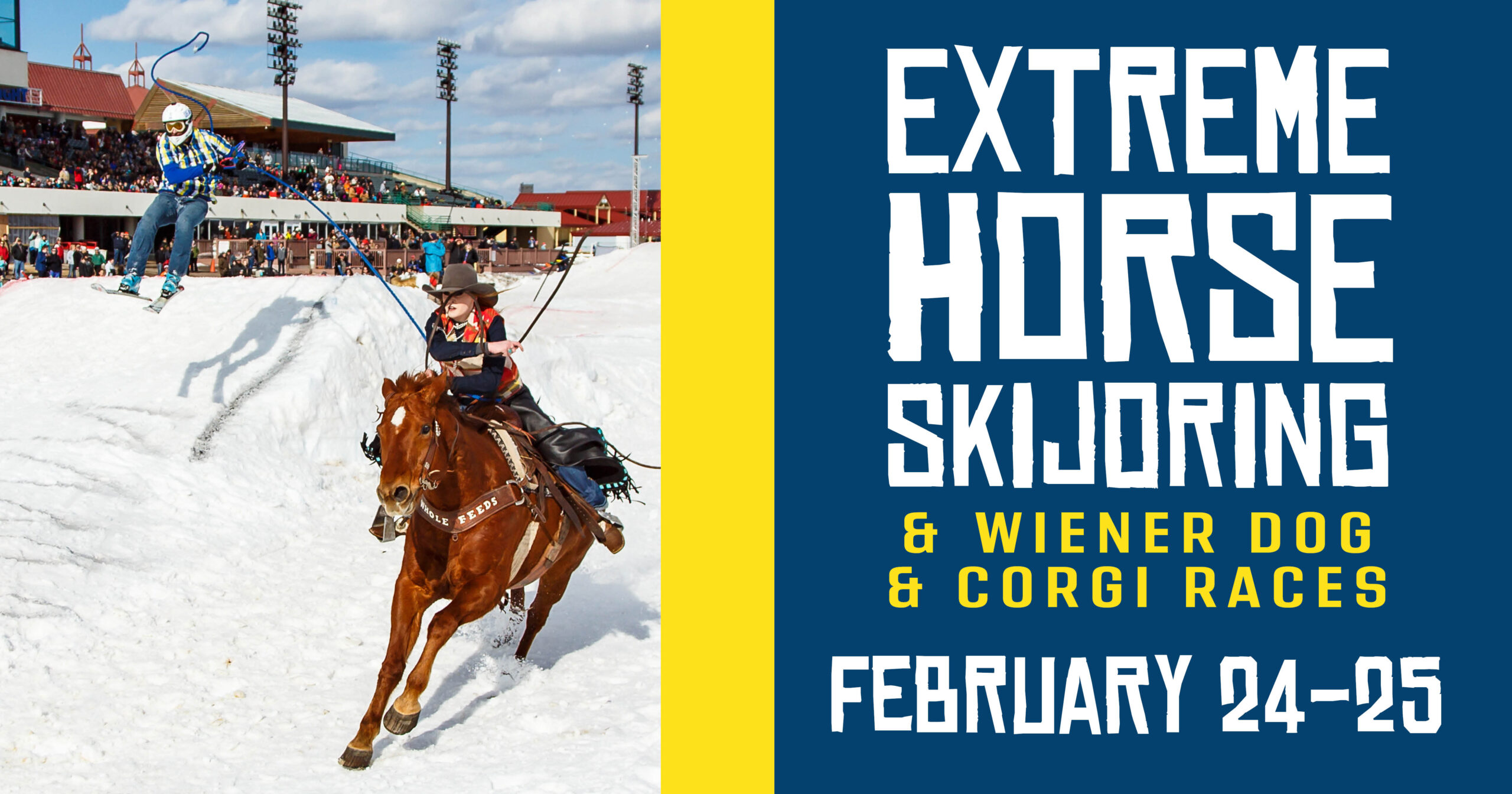 Extreme Horse Skijoring & Wiener Dog & Corgi Races