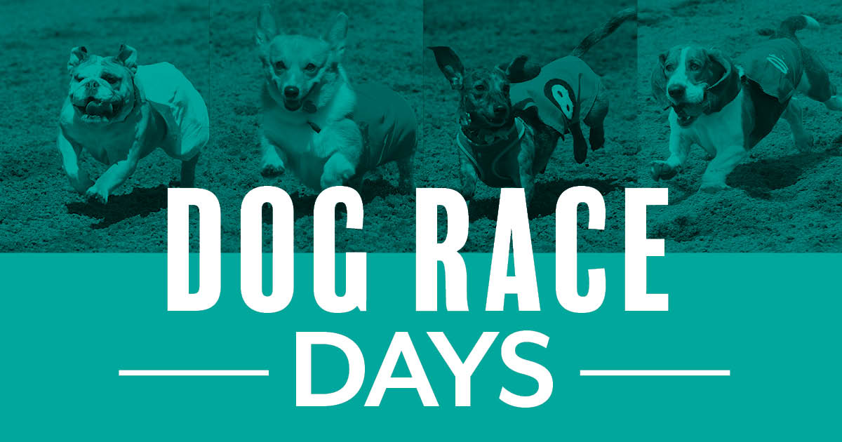 Dog Race Days – Wiener Dogs