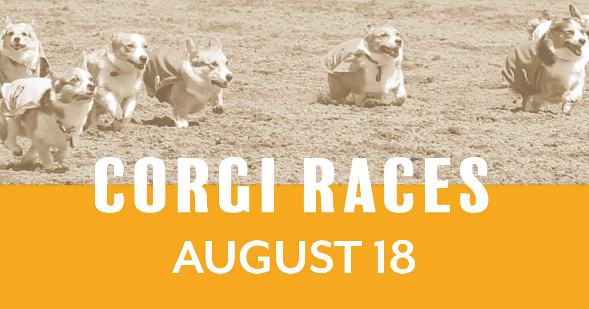 Dog Race Days – Corgis