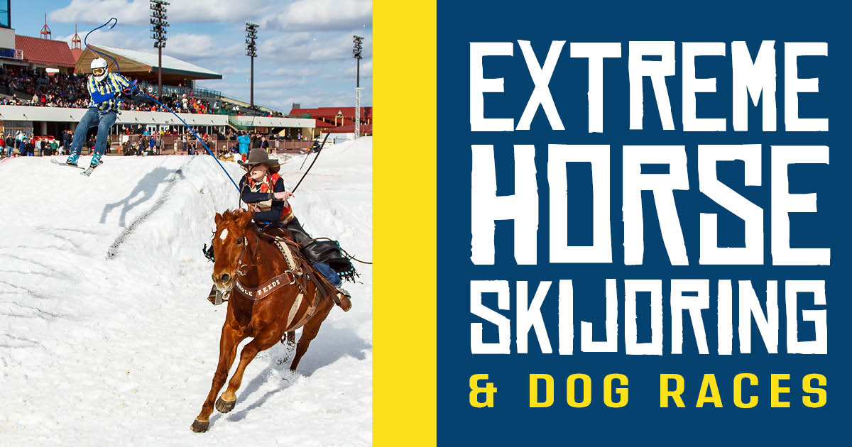 Extreme Horse Skijoring & Winter Dog Races