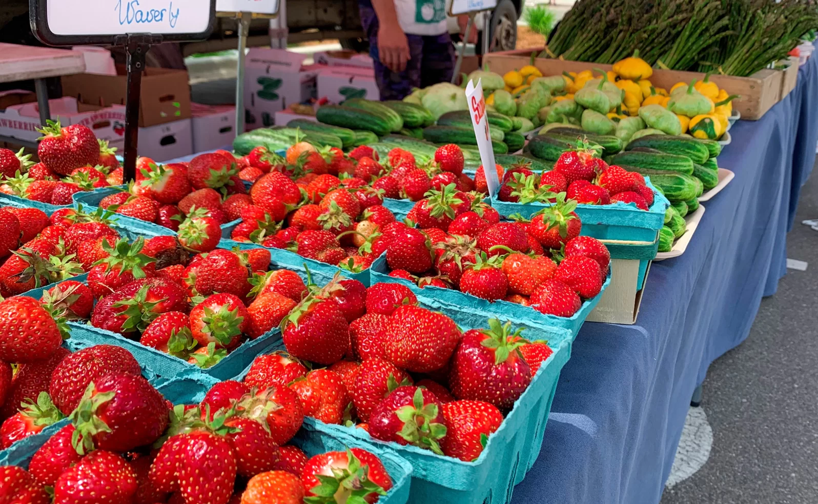 Downtown Shakopee Farmers Market